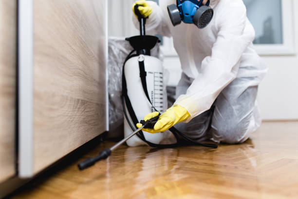 Best Pest Removal Services  in Wales, WI