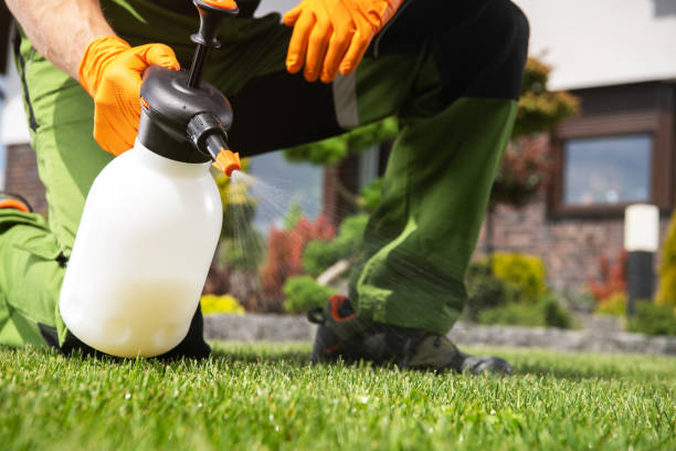 Best Wasp Removal Services  in Wales, WI