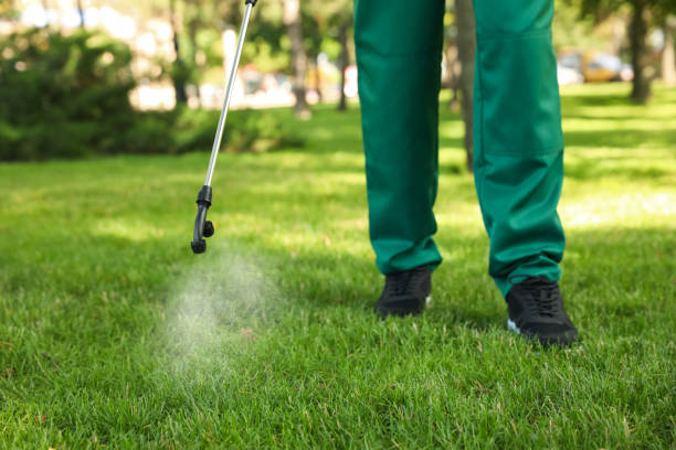 Pest Prevention Services in Wales, WI