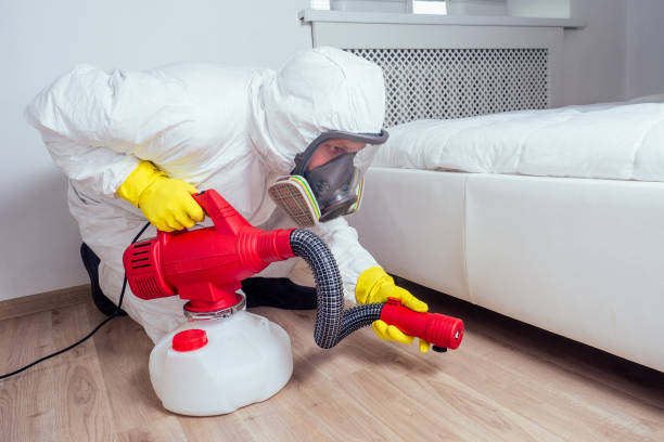 Best Cockroach Control Services  in Wales, WI