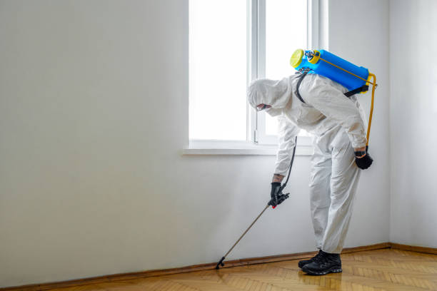 Best Flea Control Services  in Wales, WI
