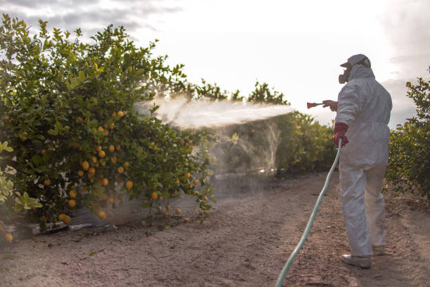 Best Commercial Pest Control Services  in Wales, WI