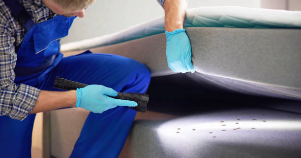 Best Emergency Pest Control  in Wales, WI
