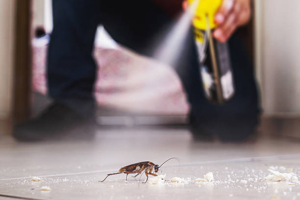 Best Pest Inspection Near Me  in Wales, WI