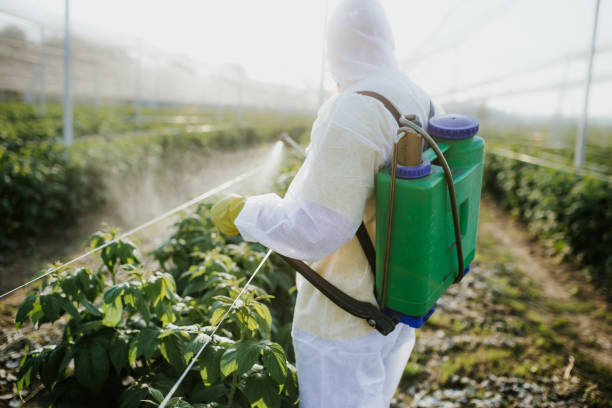 Wasp Removal Services in Wales, WI
